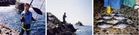 ナナシで釣れたグレ、ナナシからオオクラを見る、ナナシでの釣果の写真